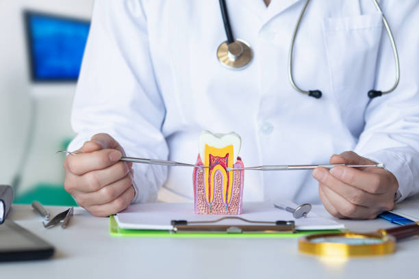 Best Weekend Emergency Dentist in Burlingame, CA